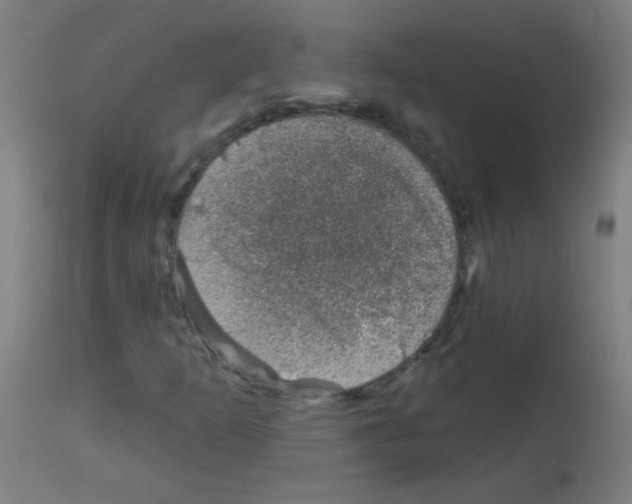 X0000113001253200910081149