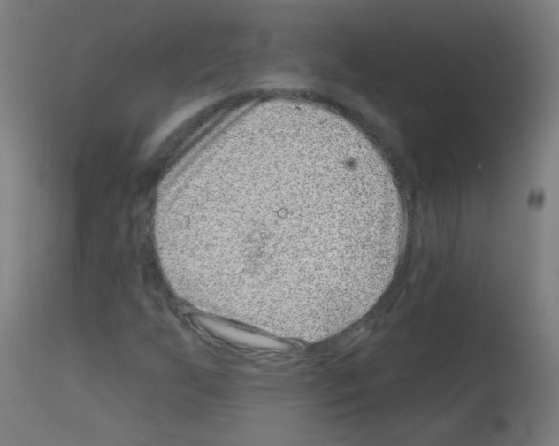 X0000113001255200910081149