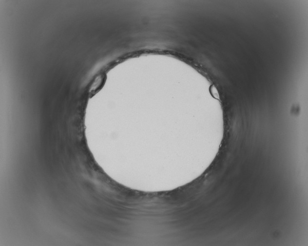 X0000113001256200910081149