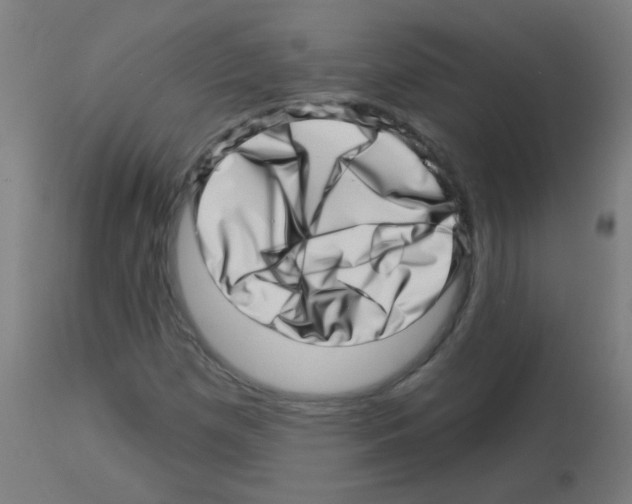 X0000113001257200910081149