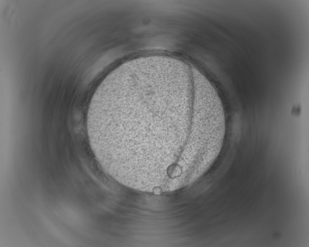 X0000113001258200910081149