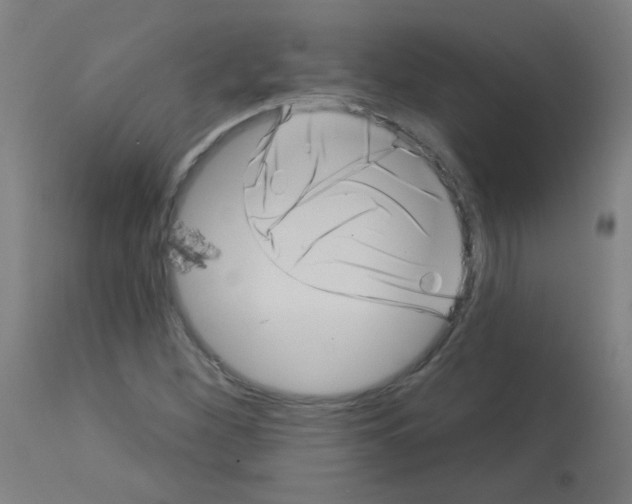 X0000113001260200910081149