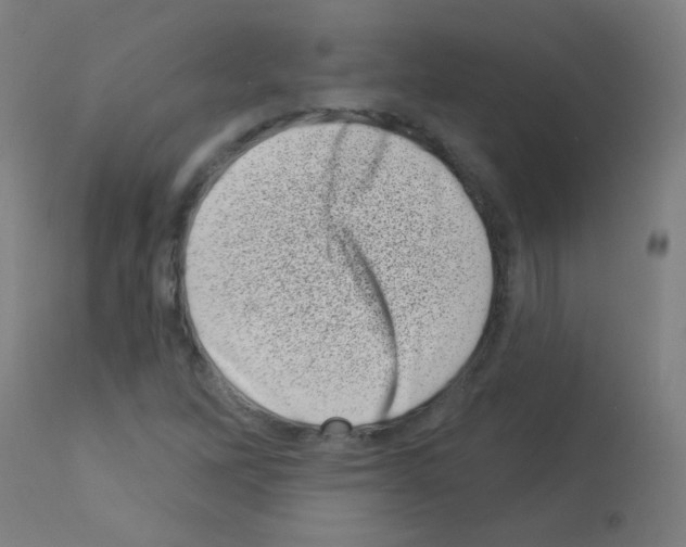 X0000113001262200910081149