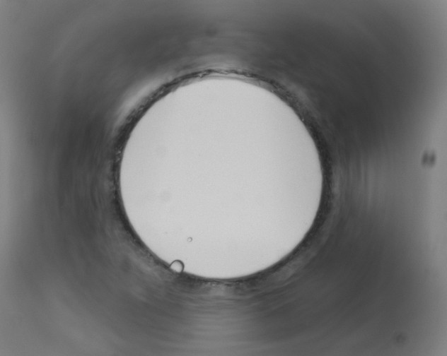 X0000113001263200910081149