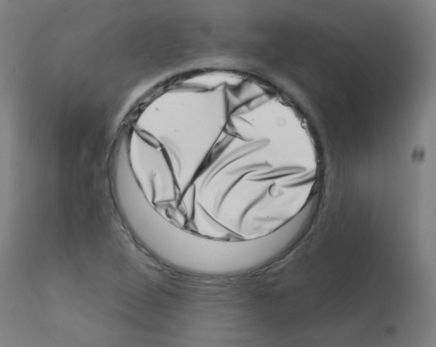 X0000113001264200910081149