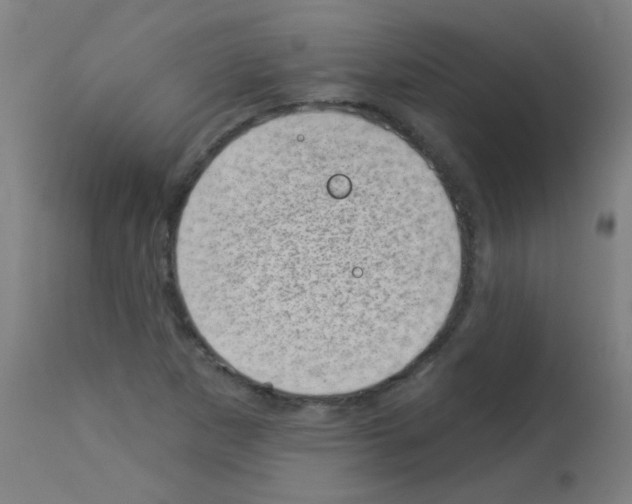 X0000113001265200910081149