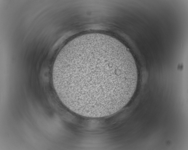 X0000113001266200910081149