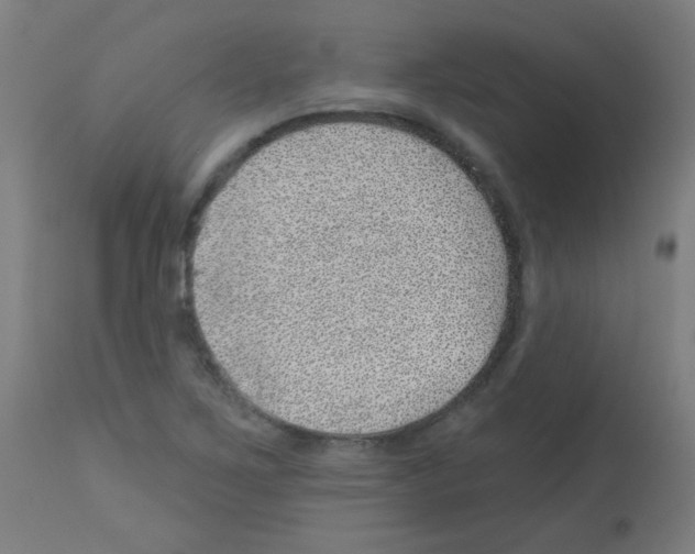 X0000113001267200910081149