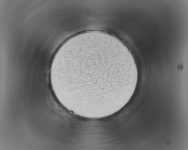 X0000113001268200910081149