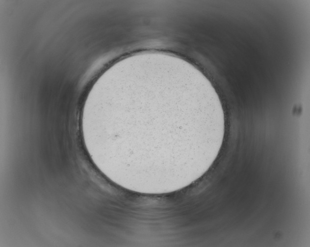 X0000113001270200910081149