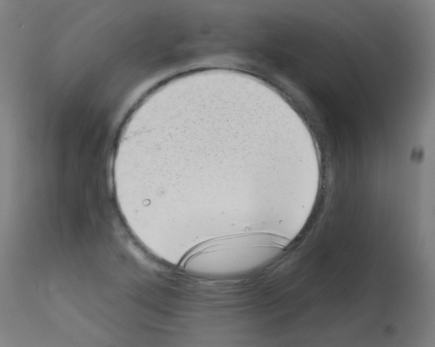 X0000113001272200910081149