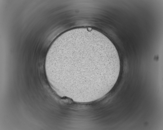 X0000113001273200910081149