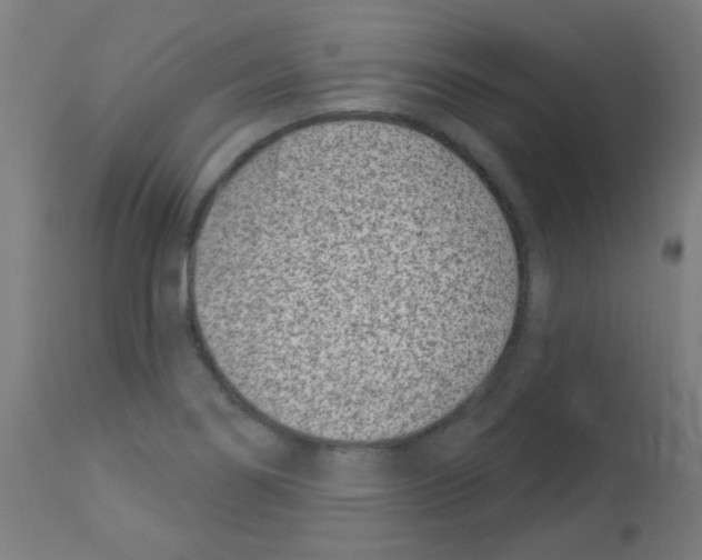 X0000113001274200910081149