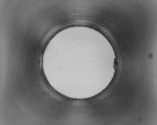 X0000113001275200910081149