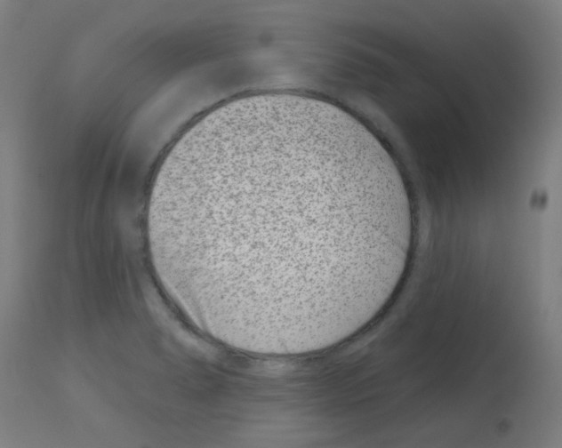 X0000113001278200910081149