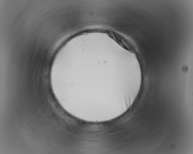 X0000113001279200910081149