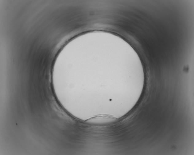 X0000113001280200910081149