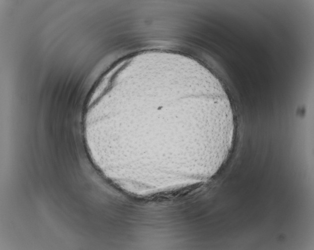 X0000113001283200910081149