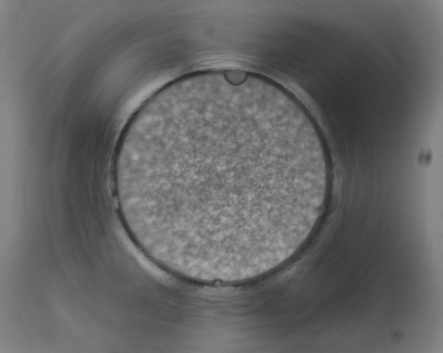 X0000113001285200910081149