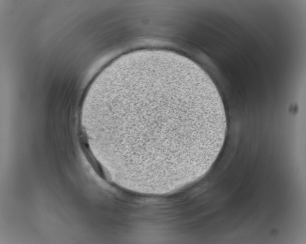 X0000113001287200910081149