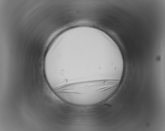 X0000113001288200910081149