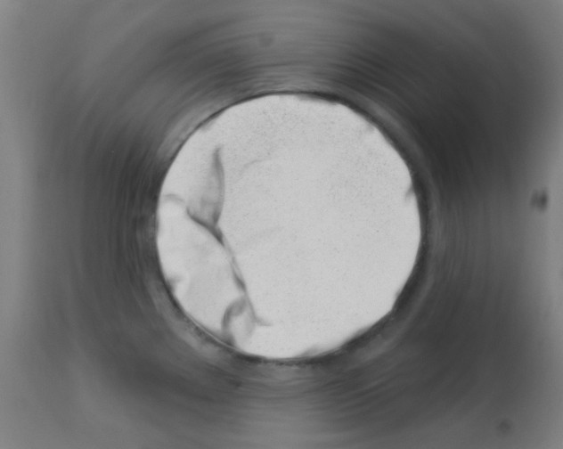 X0000113001289200910081149