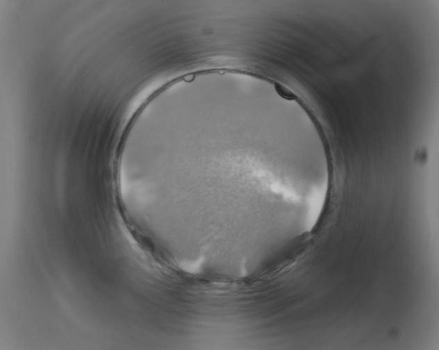 X0000113001291200910081149