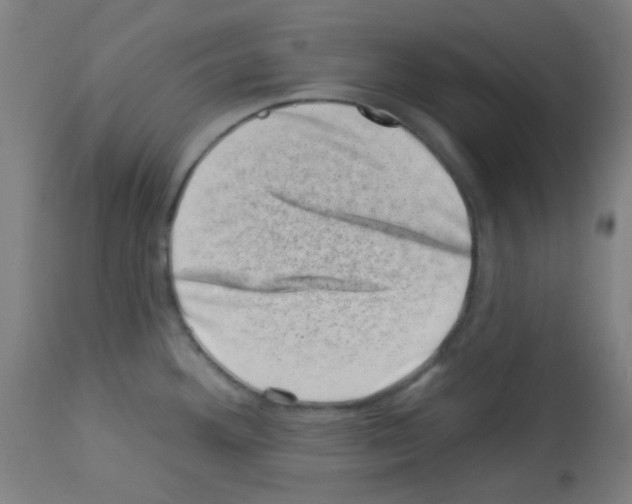 X0000113001292200910081149