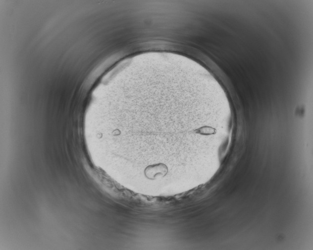 X0000113001293200910081149