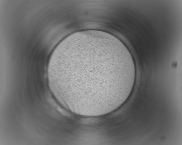 X0000113001294200910081149