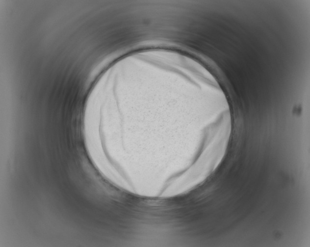 X0000113001295200910081149