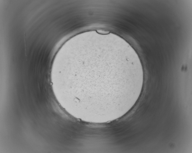 X0000113001296200910081149