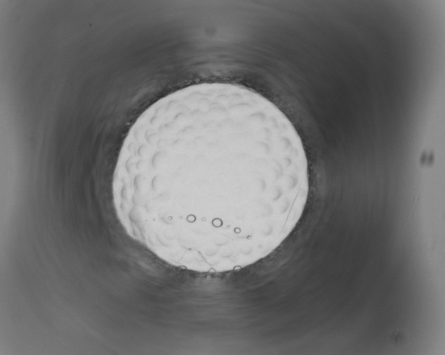 X0000113001297200910081148