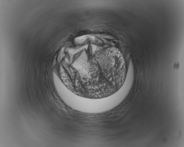 X0000113001298200910081148