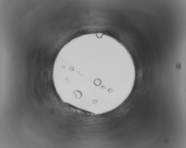 X0000113001300200910081148