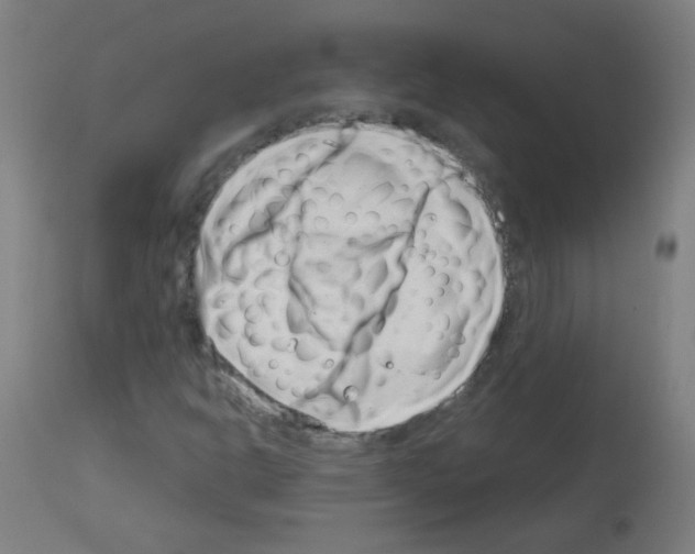 X0000113001302200910081148