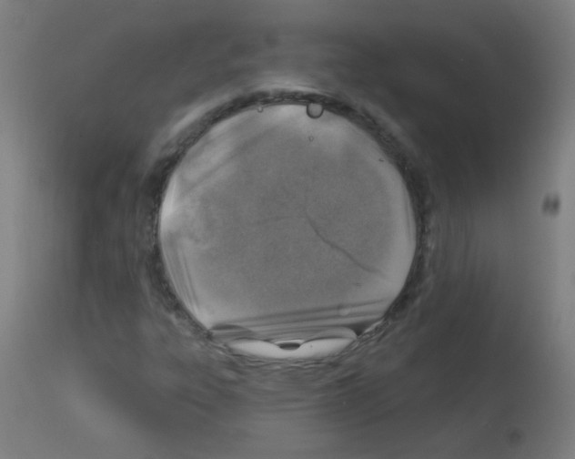 X0000113001303200910081148