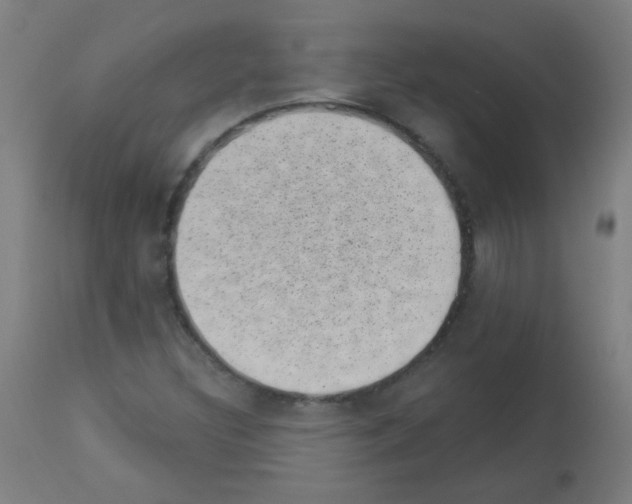 X0000113001308200910081148