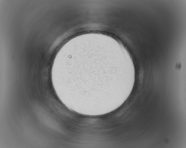 X0000113001309200910081148