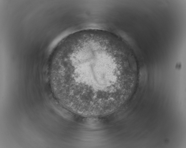 X0000113001310200910081148