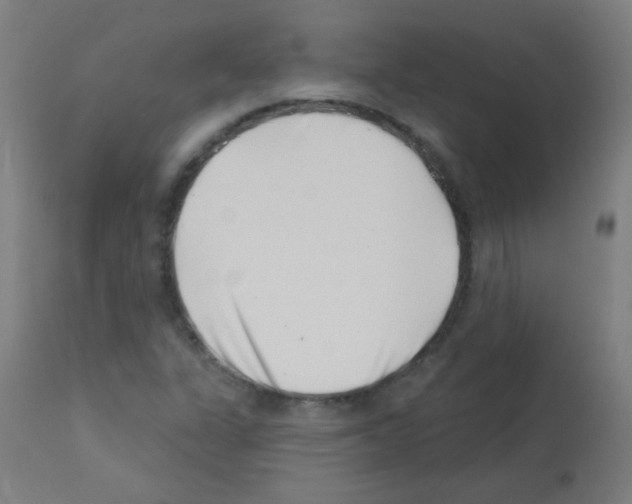 X0000113001311200910081148