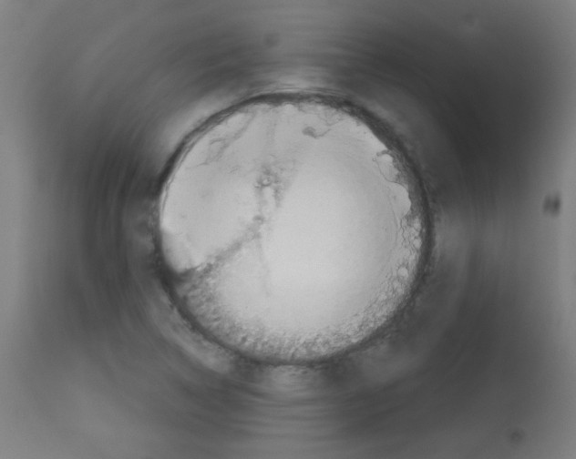 X0000113001314200910081148