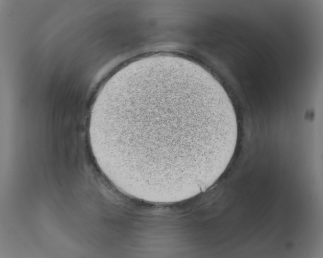 X0000113001316200910081148