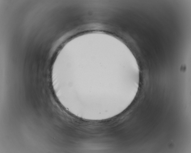 X0000113001318200910081148