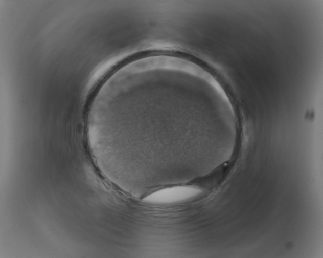 X0000113001319200910081148