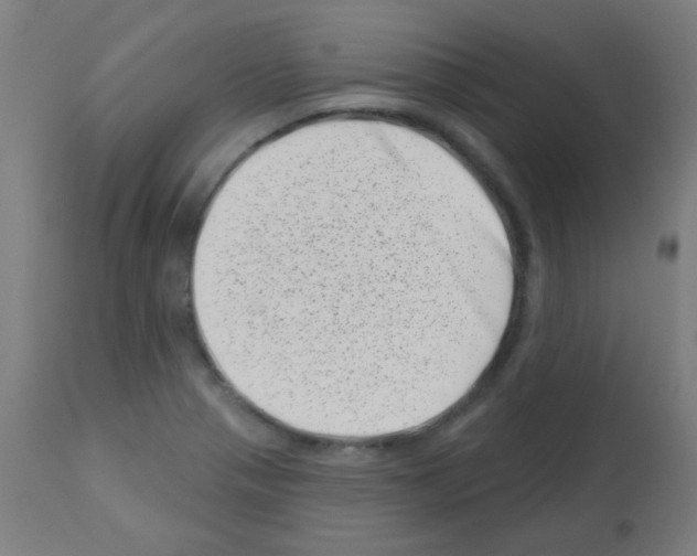 X0000113001321200910081148