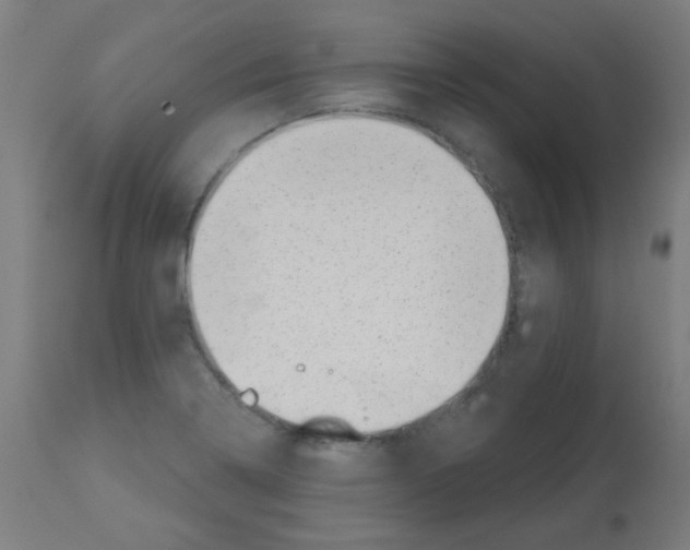 X0000113001322200910081148