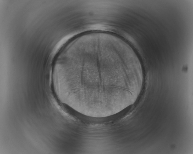 X0000113001323200910081148