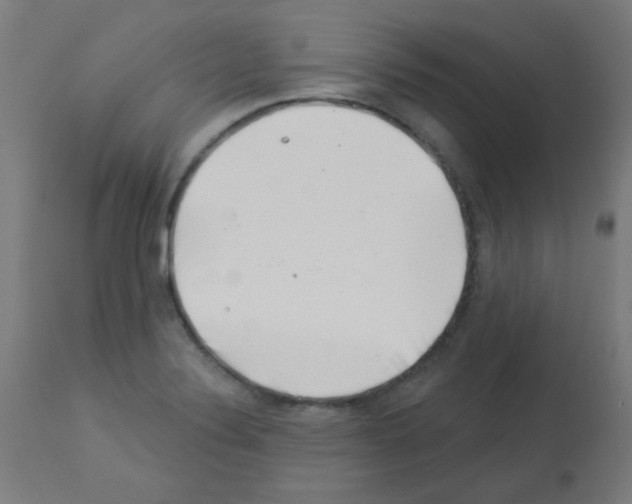 X0000113001324200910081148