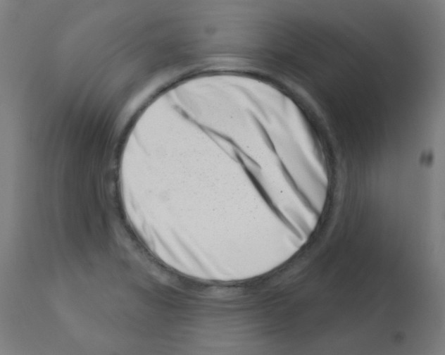 X0000113001325200910081149